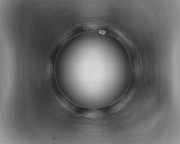 X0000112760459200908201441