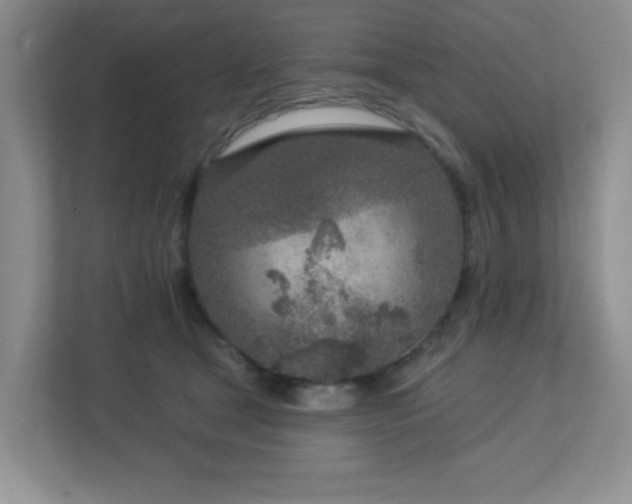 X0000112760465200908201441