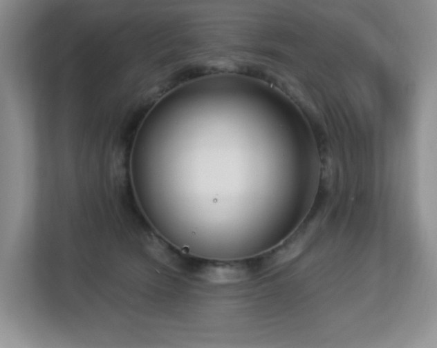 X0000112760466200908201441