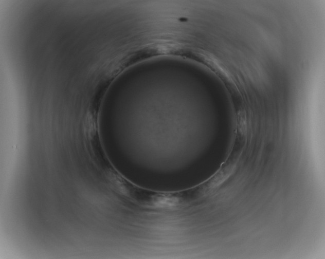 X0000112760471200908201441