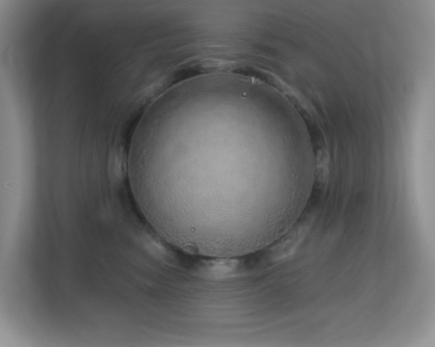 X0000112760474200908201441