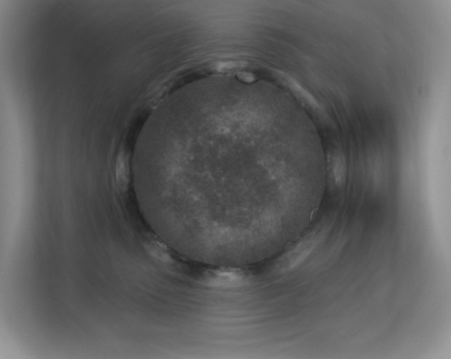 X0000112760475200908201441