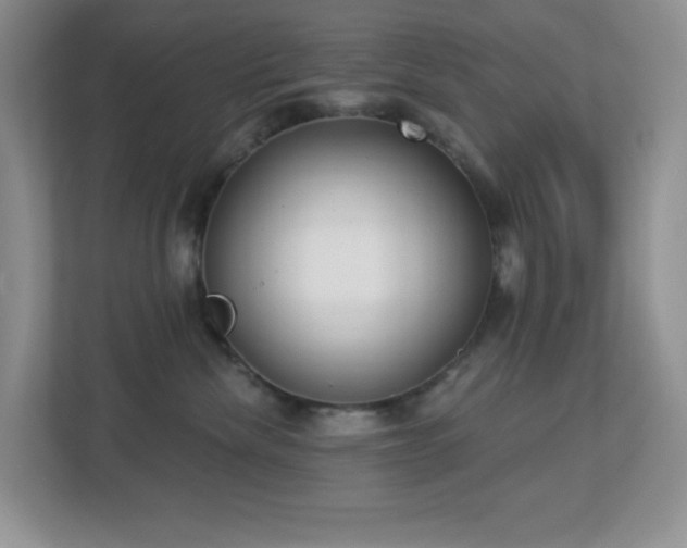 X0000112760476200908201441