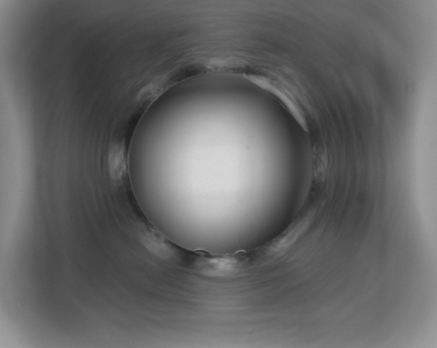 X0000112760478200908201441