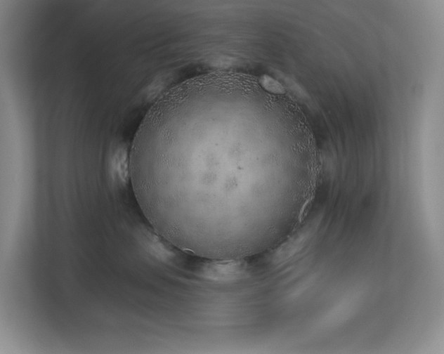 X0000112760479200908201441
