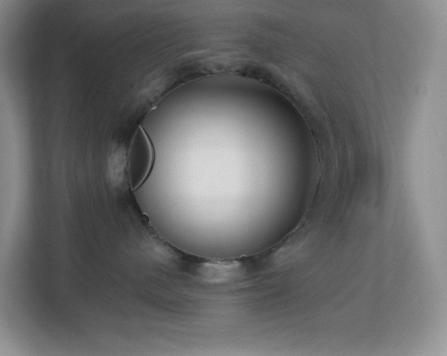 X0000112760480200908201441