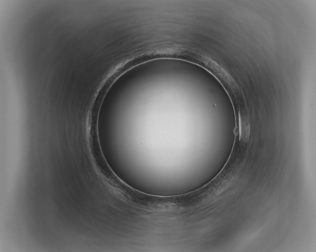 X0000112760483200908201441