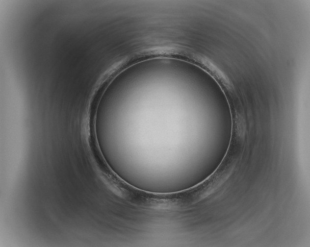 X0000112760486200908201441