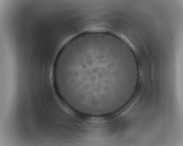 X0000112760487200908201441