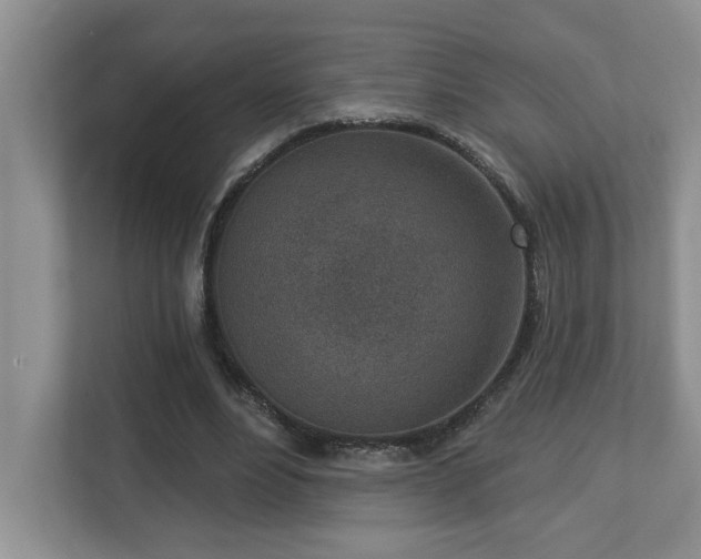 X0000112760488200908201441