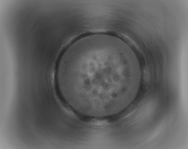 X0000112760491200908201441