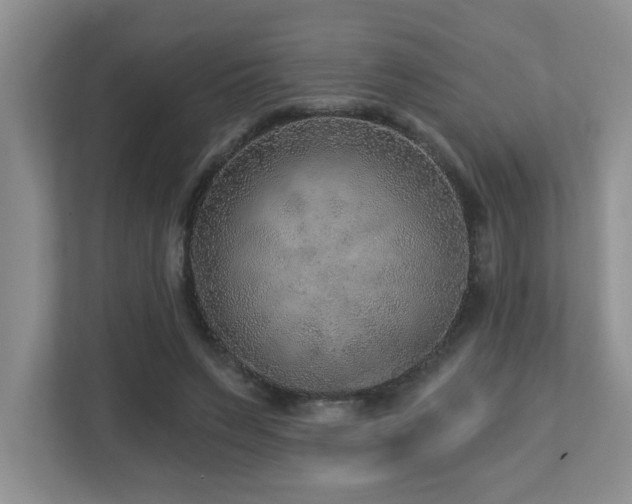 X0000112760495200908201441