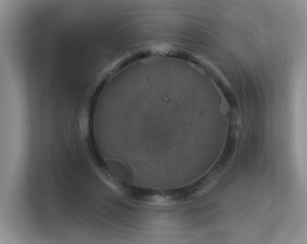 X0000112760496200908201441