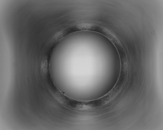 X0000112760498200908201441