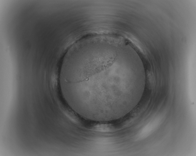 X0000112760499200908201441
