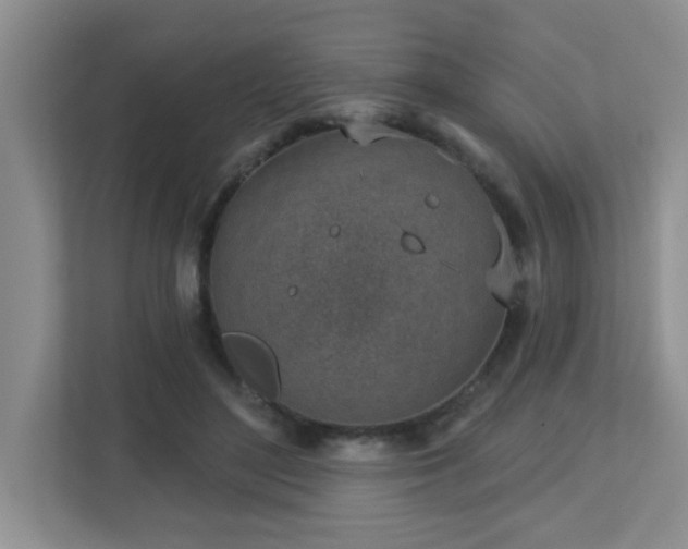 X0000112760500200908201441
