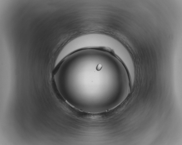 X0000112760501200908201441
