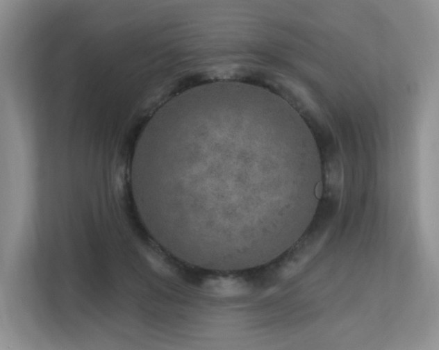 X0000112760503200908201441
