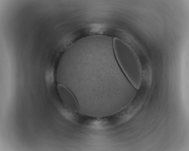 X0000112760504200908201441