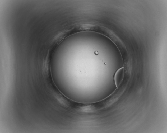 X0000112760505200908201441