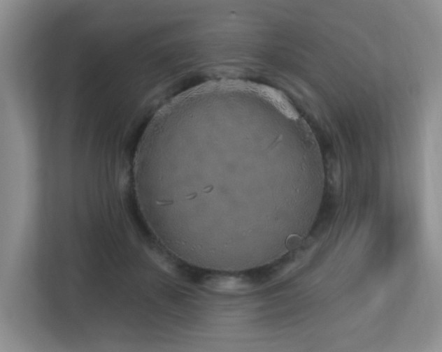 X0000112760507200908201441