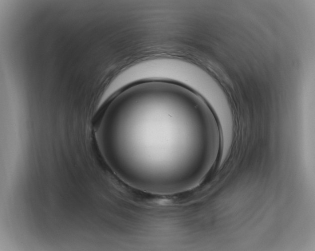 X0000112760509200908201440