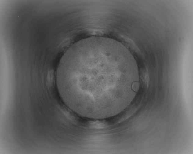 X0000112760511200908201440