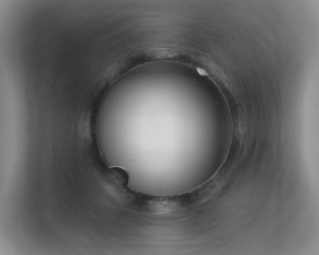 X0000112760512200908201440
