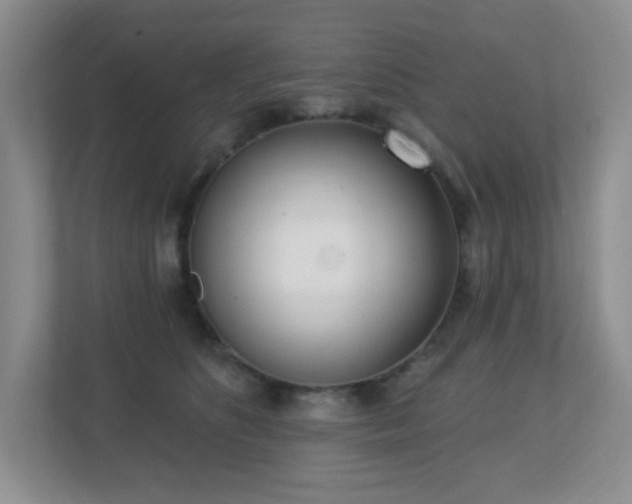 X0000112760516200908201440