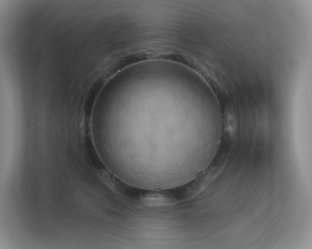 X0000112760519200908201440