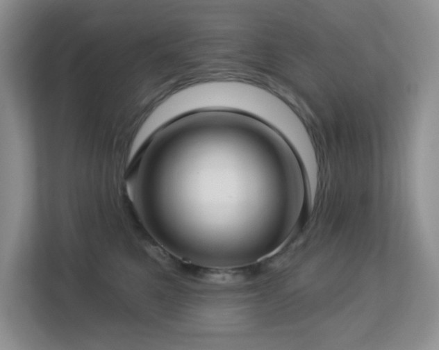 X0000112760521200908201440