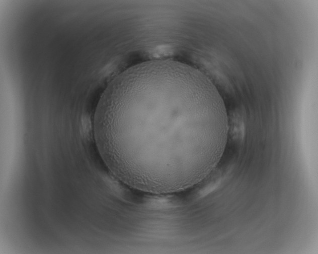 X0000112760523200908201440