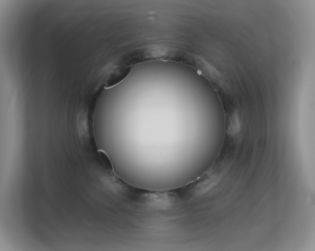 X0000112760524200908201440