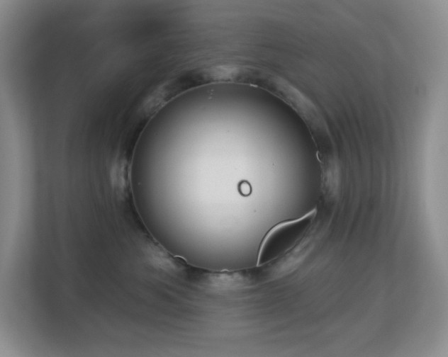 X0000112760525200908201440