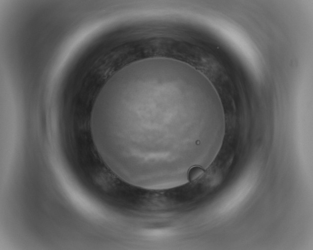 X0000112760526200908201440