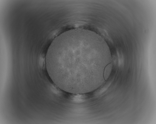 X0000112760527200908201440