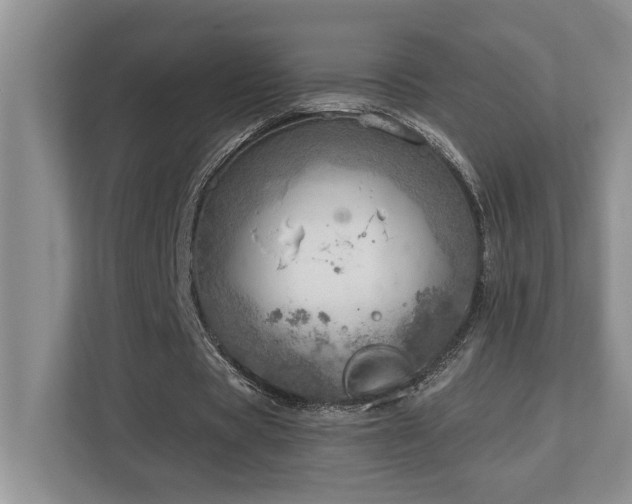 X0000112760529200908201440