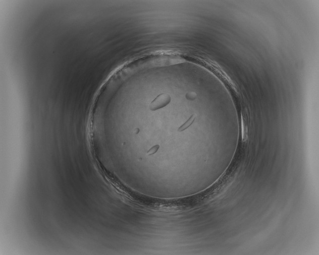 X0000112760531200908201440