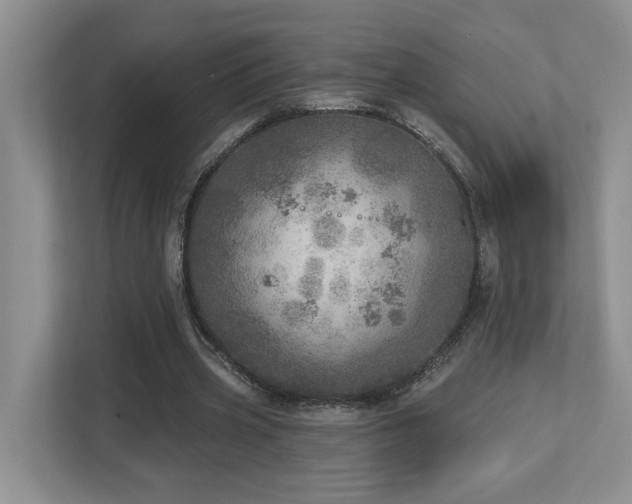 X0000112760533200908201440