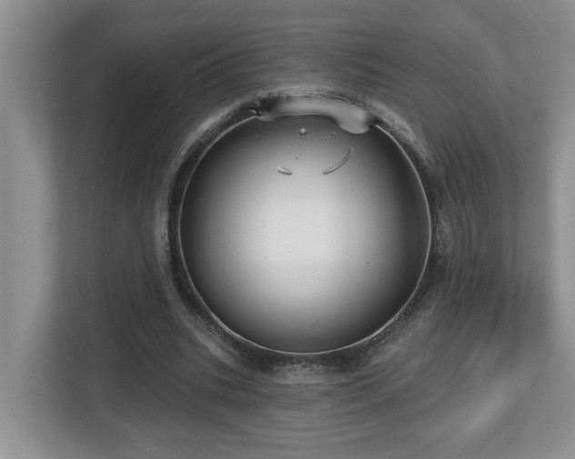 X0000112760535200908201440