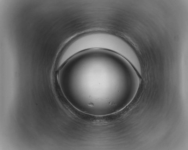 X0000112760536200908201440