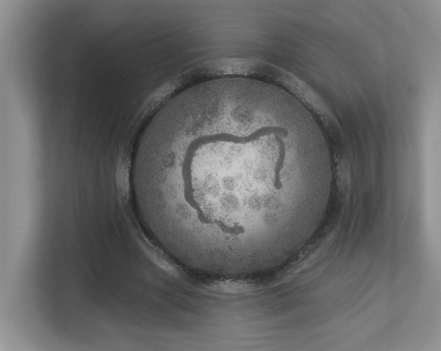 X0000112760537200908201440