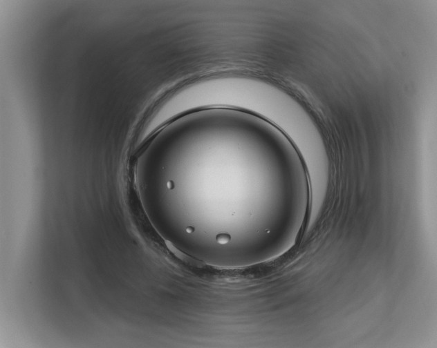 X0000112760540200908201440