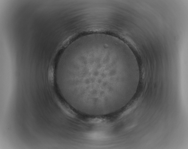 X0000112760542200908201440