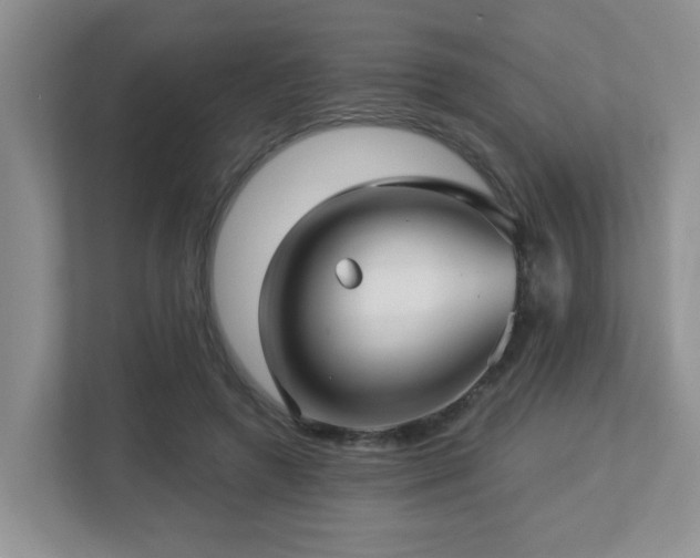 X0000112760546200908201440