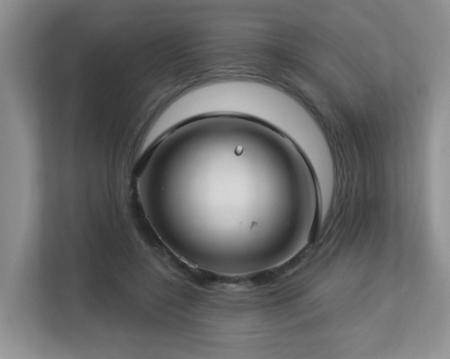 X0000112760548200908201440