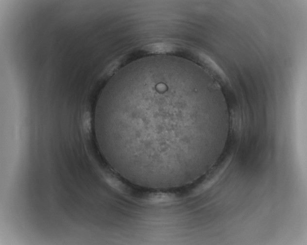 X0000112760549200908201440