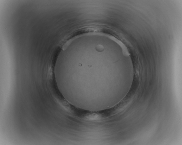 X0000112760551200908201440