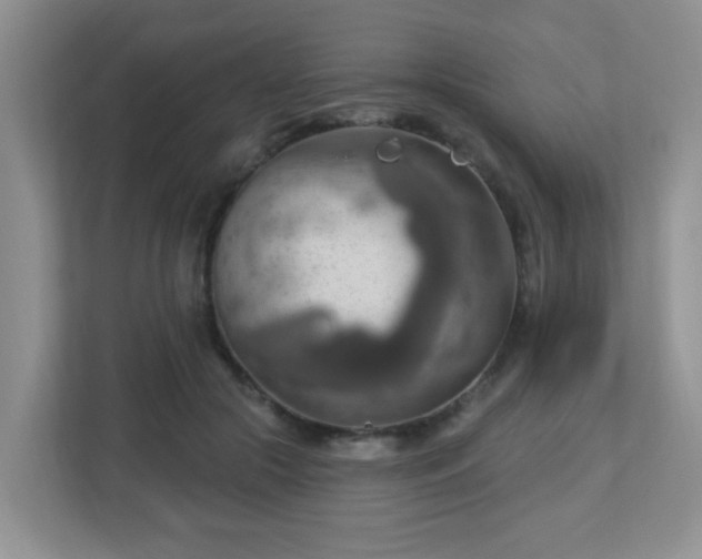 X0000112760553200908201440