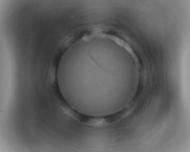 X0000112760554200908201440